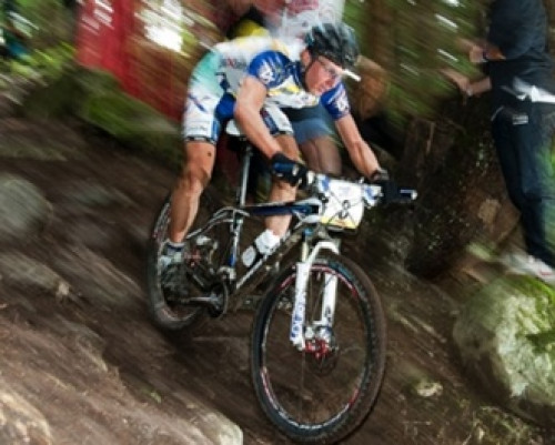 Tempier to race in France, Longo in Italy Tempier to race in France, Longo in Italy
